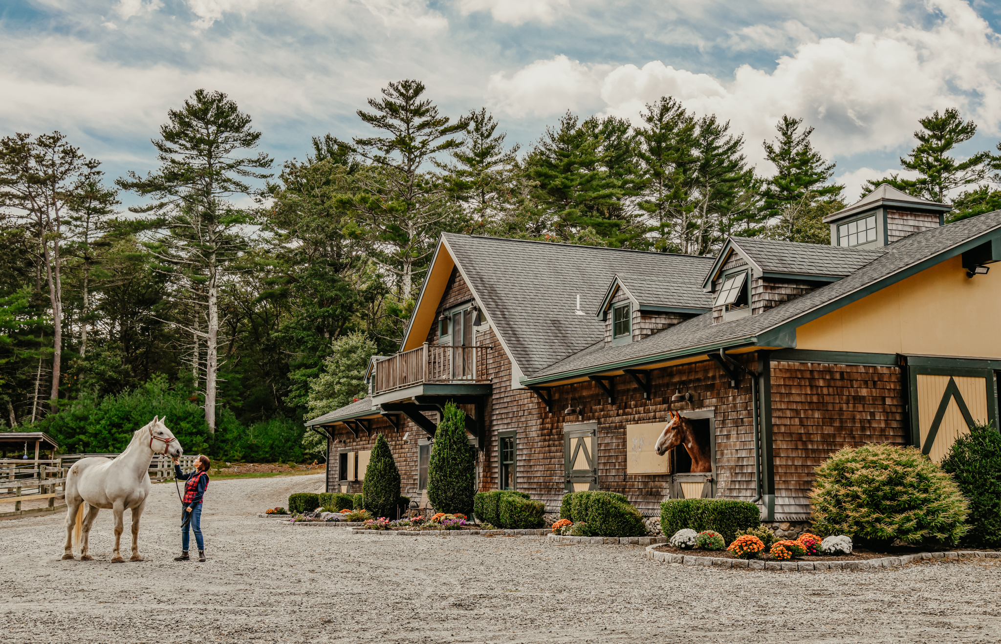 Equestrian Homes