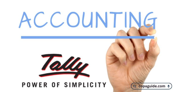 Financial Accounting Tally